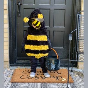18 month to 2T Bee Costume
